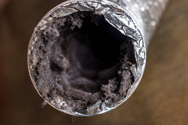 Best Air Vent Cleaning Services  in West Cape May, NJ